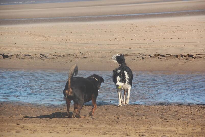 Bridlington'S Bolt Hole Chalet 외부 사진